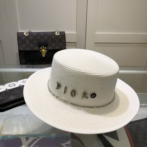 Dior Hats AAA-531