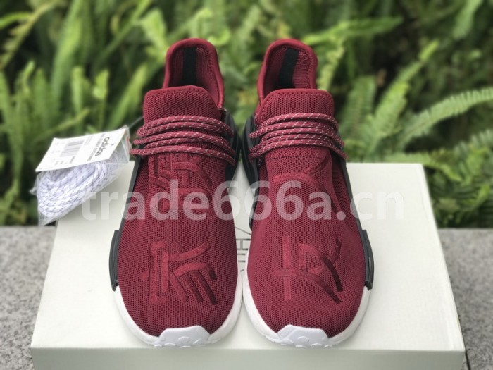 Authentic AD Human Race NMD x Pharrell Williams Purple