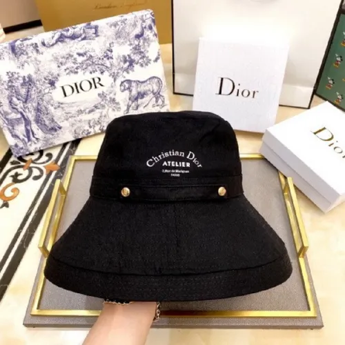 Dior Hats AAA-118