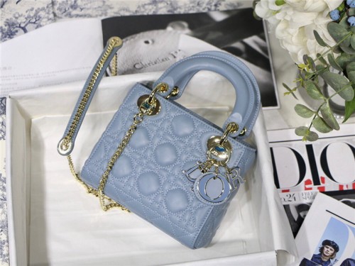 Dior Handbags High End Quality-093