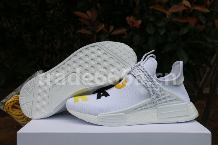 Authentic AD Human Race NMD x Pharrell Williams White