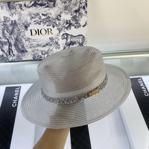 Dior Hats AAA-040