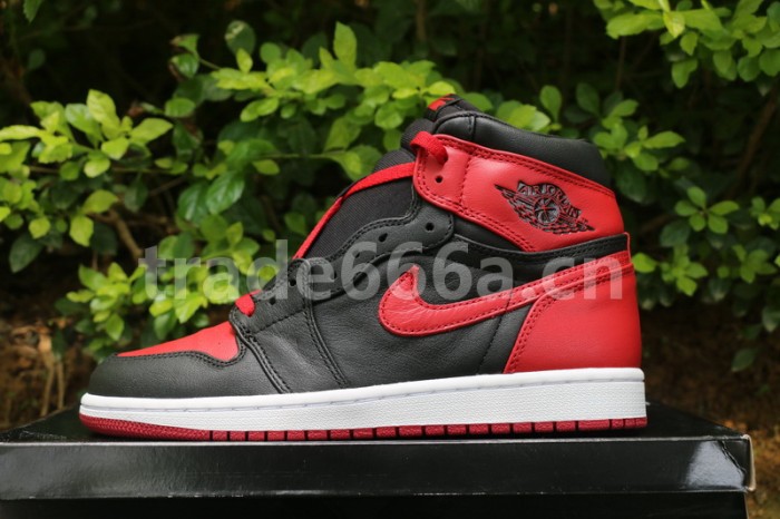 Air Jordan 1 Banned