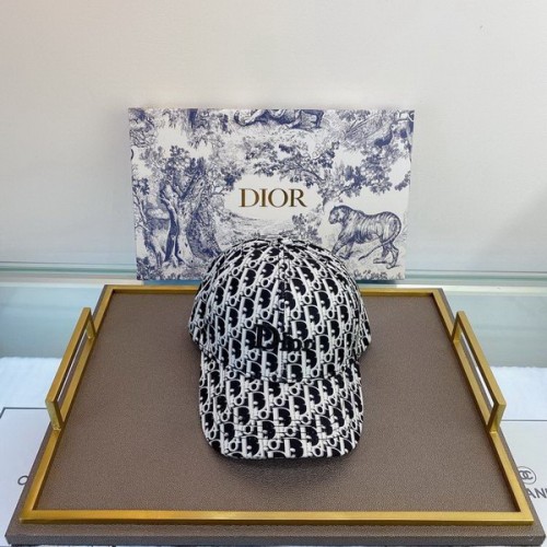 Dior Hats AAA-092