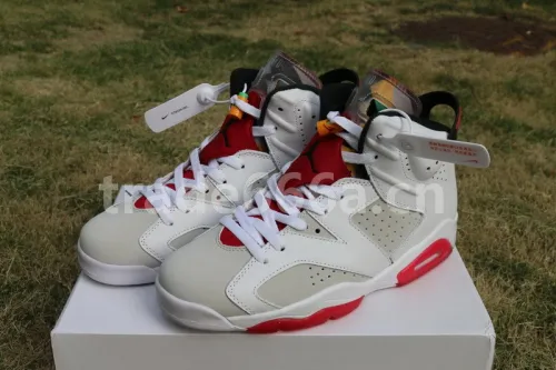 Authentic Air Jordan 6 “Hare”