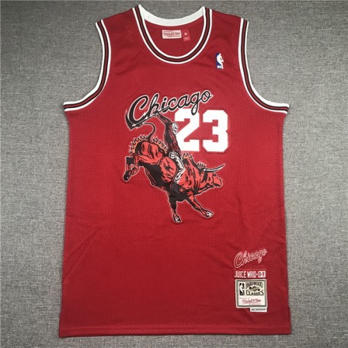 NBA Chicago Bulls-316
