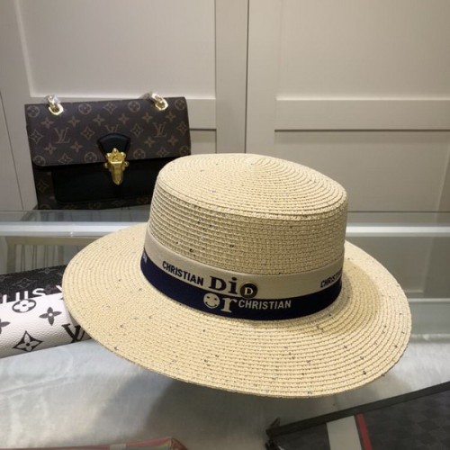 Dior Hats AAA-493
