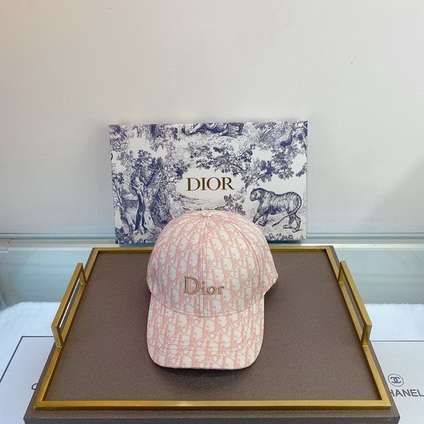 Dior Hats AAA-094