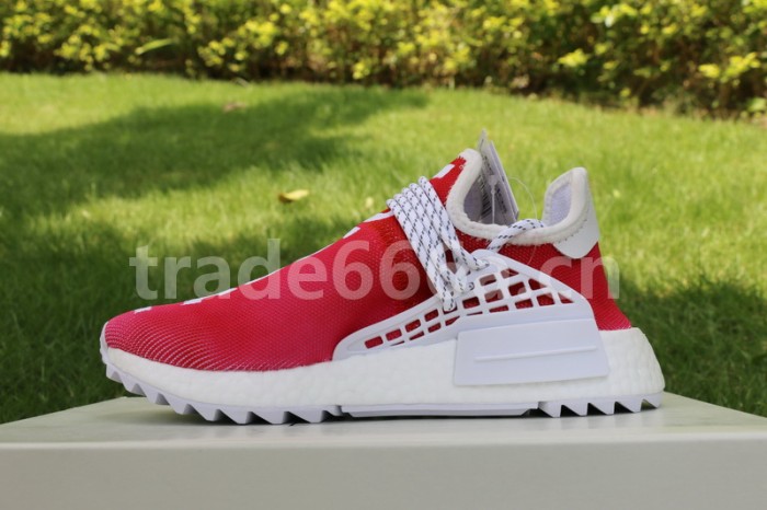 Authentic Pharrell x AD NMD Passion