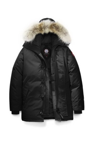 CG Down Jacket men-681