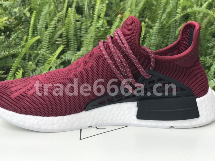 Authentic AD Human Race NMD x Pharrell Williams Purple