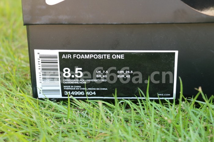 Authentic Nike Air Foamposite One “Denim”