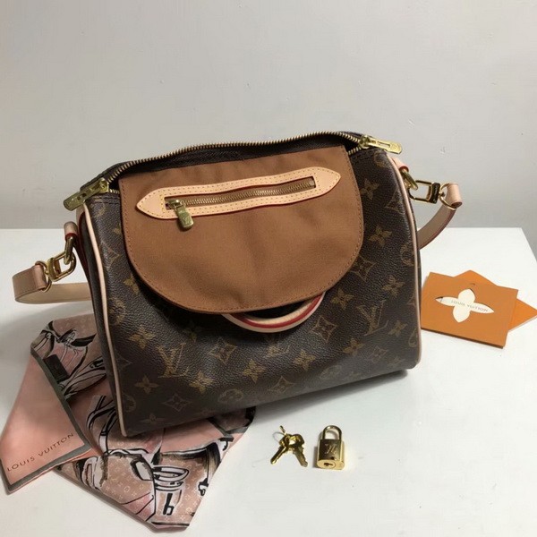 LV Hangbags AAA-313