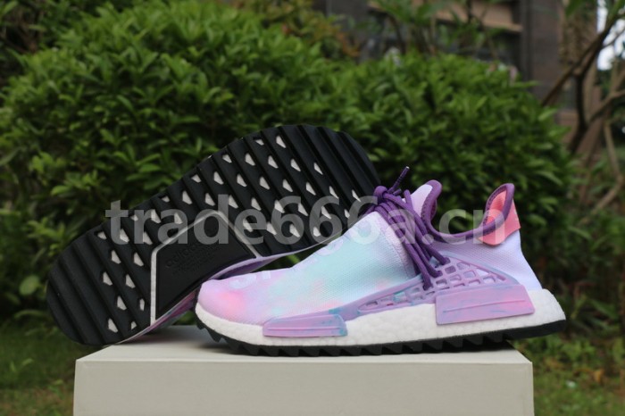 Authentic Pharrell x  AD NMD Hu Trail Special
