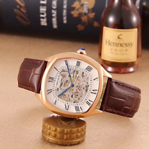 Cartier Watches-242