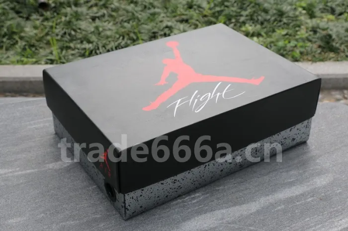 Authentic Air Jordan 4 Premium “Snakeskin”