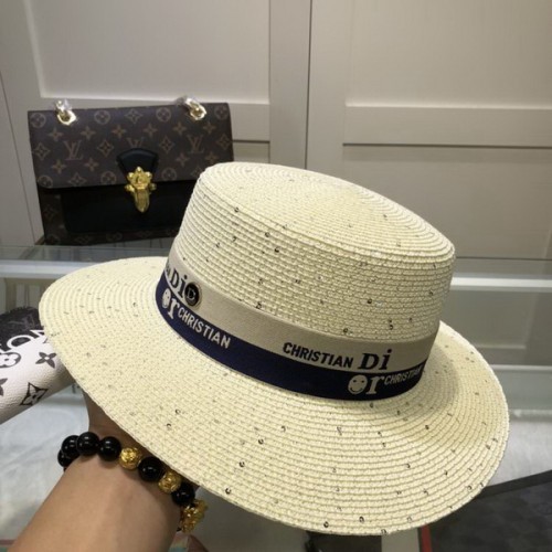 Dior Hats AAA-496