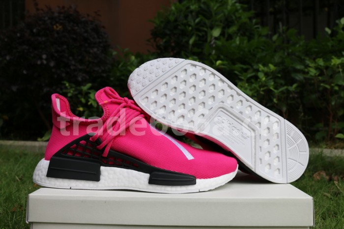 Authentic AD Human Race NMD x Pharrell Williams Pink