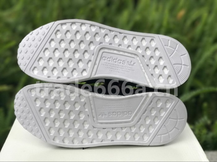 Authentic AD Human Race NMD x Pharrell Williams Purple