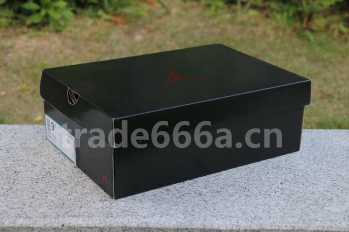 Authentic Air Jordan 13 “Love & Respect”
