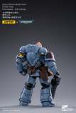 JOYTOY JT2054 Warhammer 40k 1: 18 Warhammer Space Wolves Battle Pack Hunter Pack