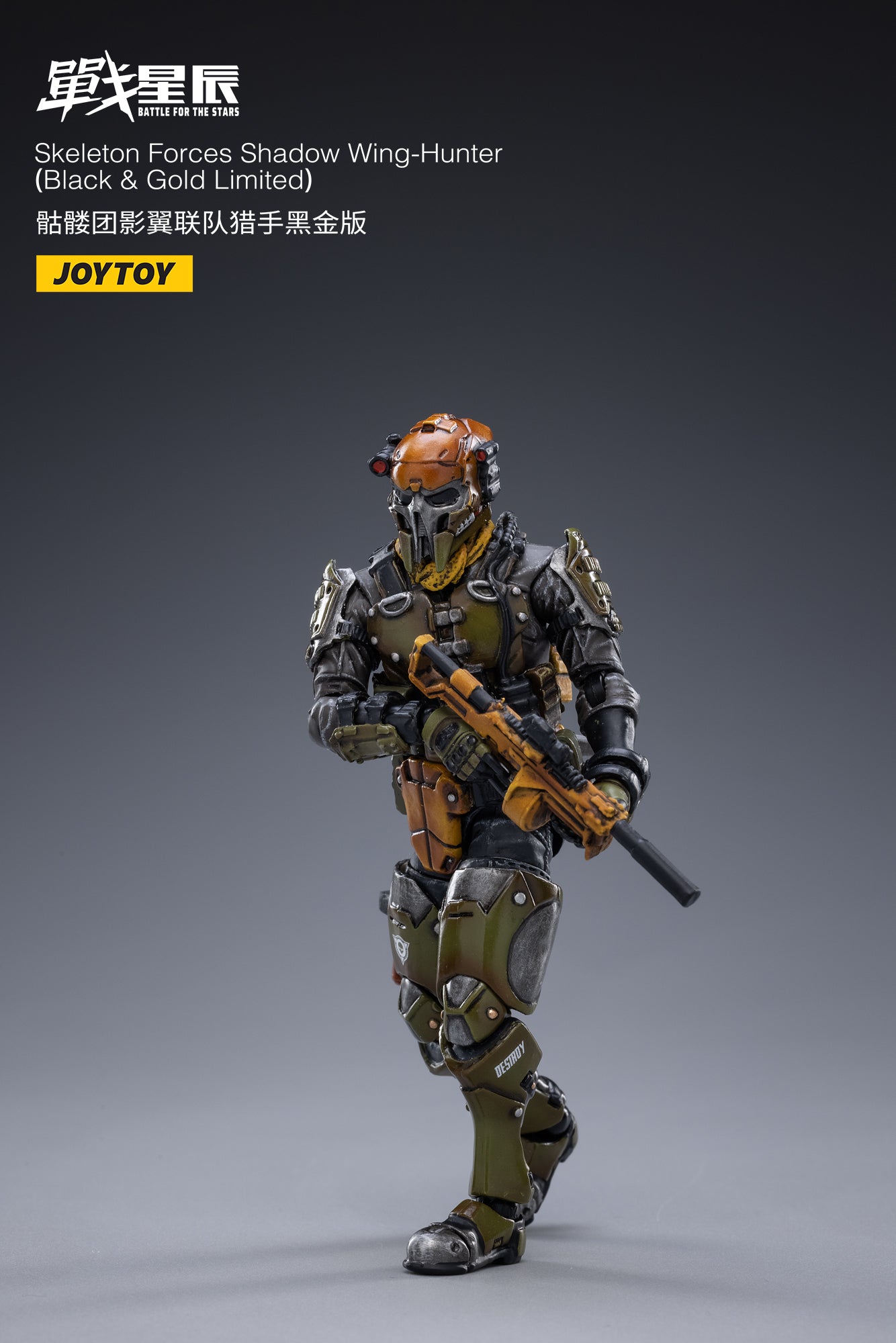 JOYTOY JT2269 1: 18 Skeleton Forces Shadow Wing - Hunter （ Black 