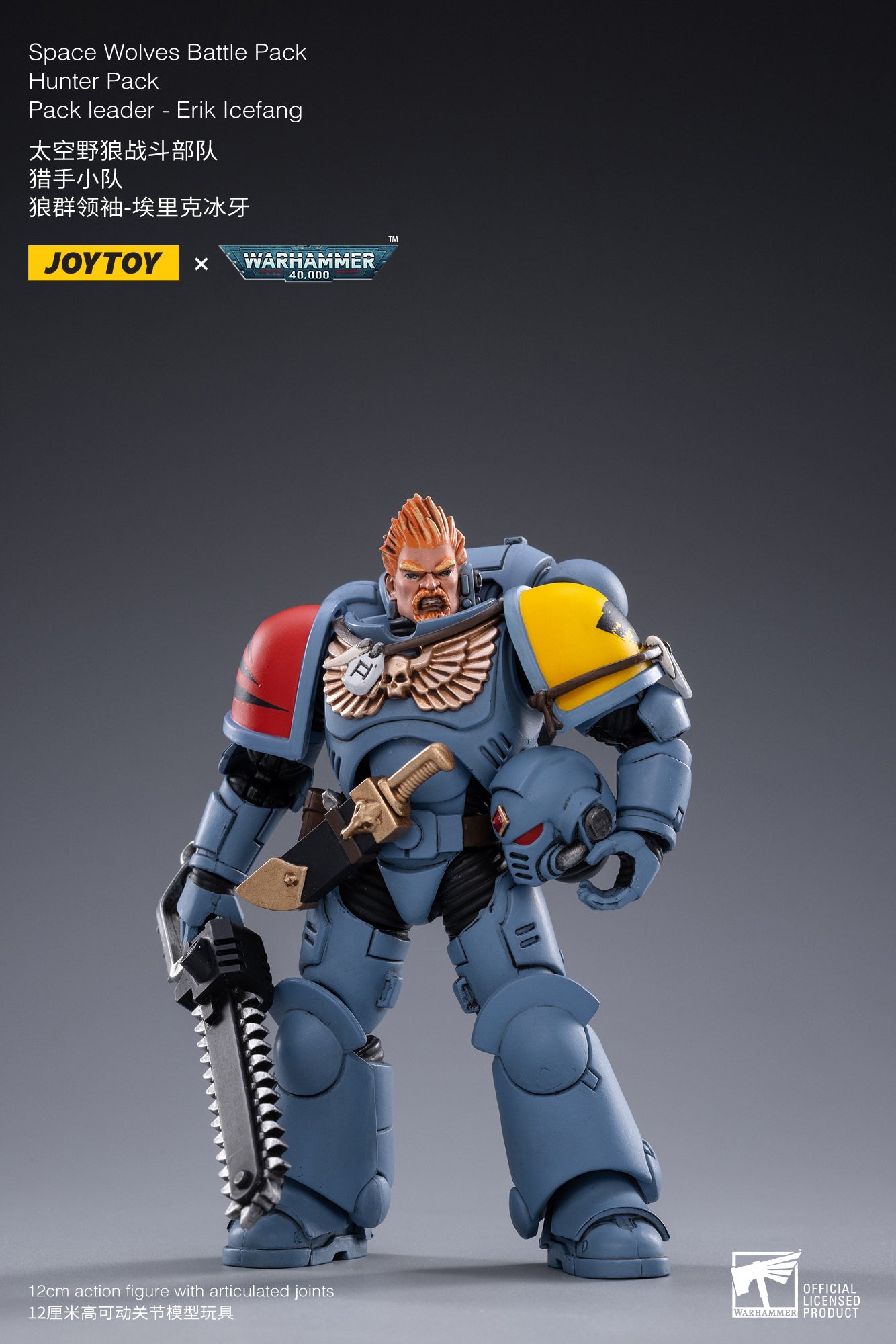 JoyToy ウォーハンマー Space Wolves Hunter Pack その他