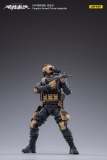 JOYTOY 1: 18 PAP Special Forces