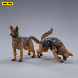 JOYTOY JT1453 1:18 Military Dog