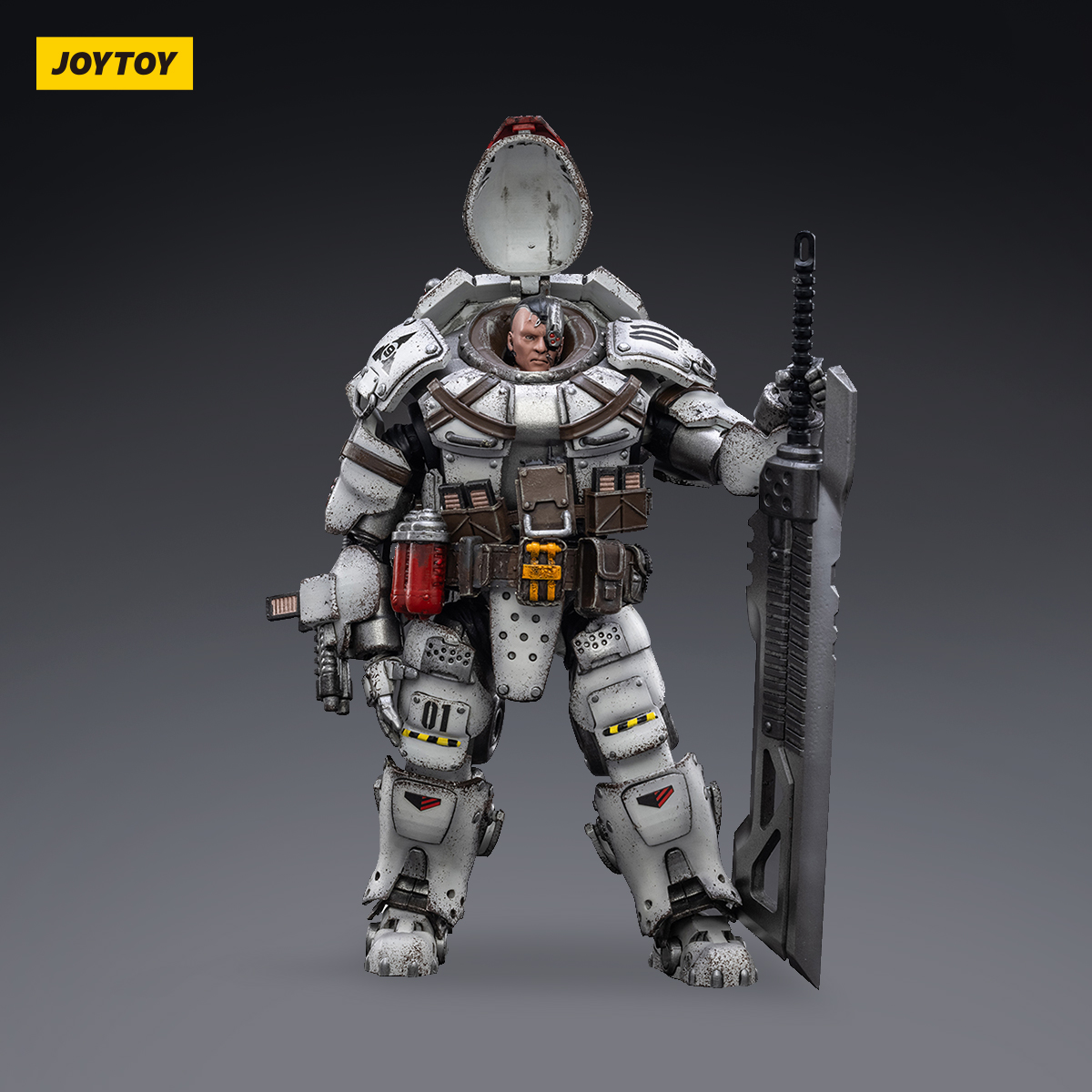JOYTOY JT3051 1:18 Sorrow Expeditionary Forces-9th Army of the