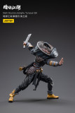 JOYTOY JT3181 1:18 Dark Source - JiangHu YunYue Qin