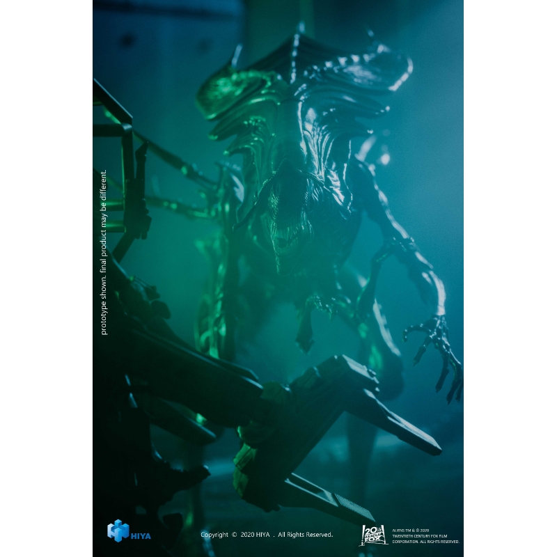 【美品】Kicking Giant / Alien I.D. Sideshow ALIEN Xenomorph Parasite Bust Mythos Legendary