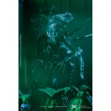 HIYA LA0114 Exquisite Mini 1/18 Alien vs. Predator Alien Queen