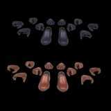 FOUR HORSEMEN Illythia Hands and Feet