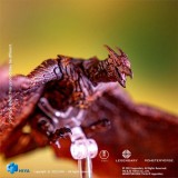 HIYA EBG0074 Exquisite Basic Godzilla King of the Monsters RODAN
