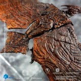 HIYA EBG0074 Exquisite Basic Godzilla King of the Monsters RODAN
