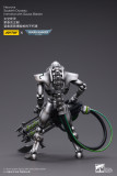 JOYTOY Warhammer 40k 1: 18 Necrons Sautekh Dynasty