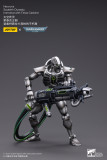 JOYTOY Warhammer 40k 1: 18 Necrons Sautekh Dynasty