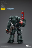 JOYTOY Warhammer 40k 1: 18 Dark Angels Intercessors