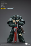 JOYTOY Warhammer 40k 1: 18 Dark Angels Intercessors