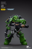 JOYTOY JT5253 5260 5277 Warhammer 40k 1: 18 Salamanders Eradicators