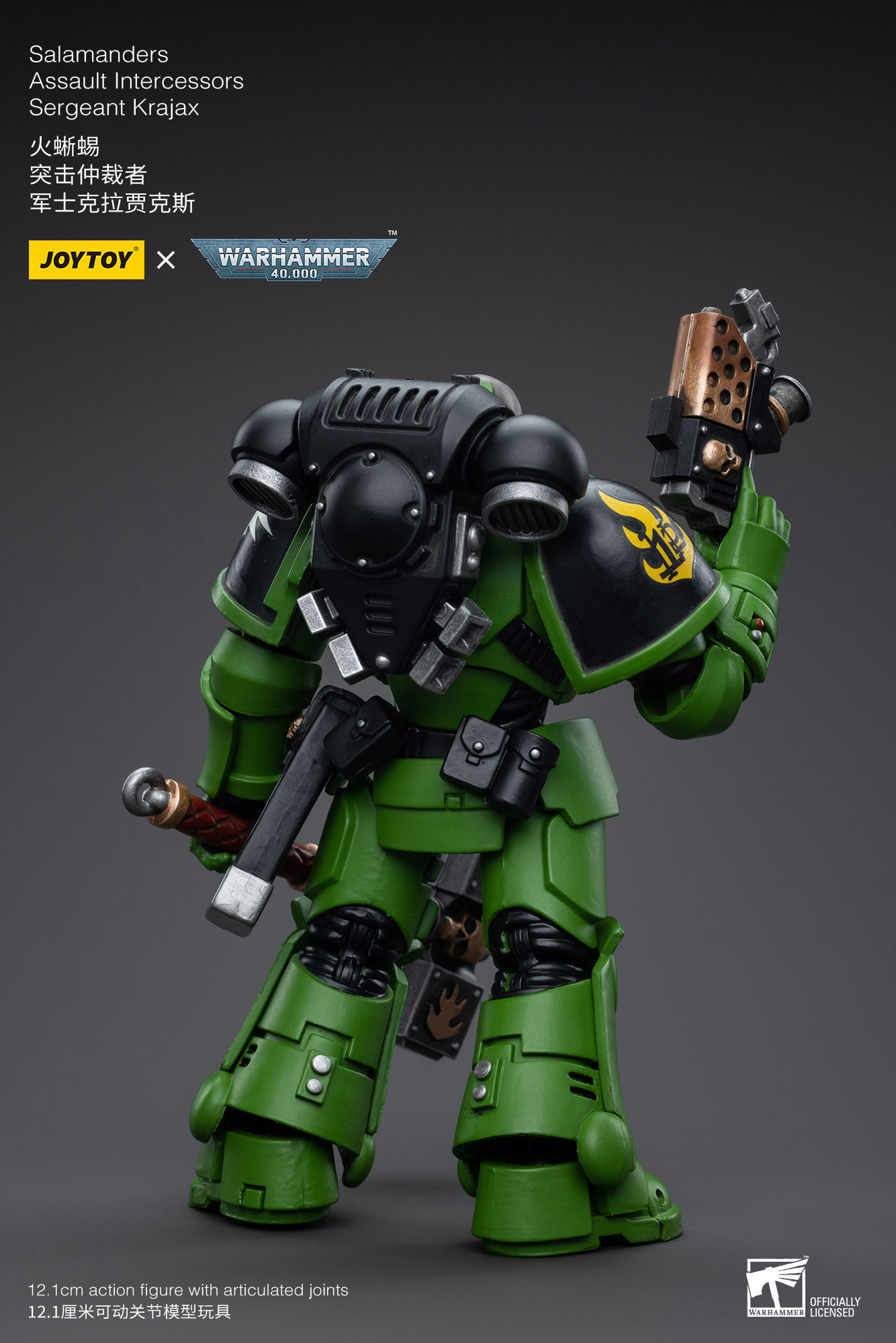 JOYTOY JT5215 5222 5239 5246 Warhammer 40k 1: 18 Salamanders Intercess –  JoyToy World