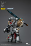 JOYTOY Warhammer 40k 1: 18 Grey Knights Strike Squad