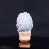 COOL TOYS CLUB CTC 404 Head Sculpture for Imperial Fists Rogal Dorn Primarch of the Vllth Legion