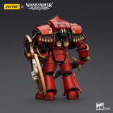 JOYTOY Warhammer 40k 1: 18 Blood Angels Crimson Paladins Squad