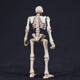 Stoy Kulu World Skeleton Warriors