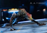 HIYA EBG0431 Godzilla vs. Kong Skull Crawler