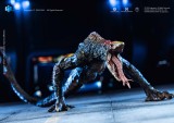 HIYA EBG0431 Godzilla vs. Kong Skull Crawler