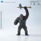 HIYA EBG0415 Exquisite Basic Series 6 Inch Godzilla x Kong The New Empire Godzilla kong