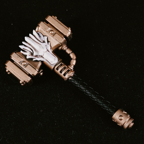 COOL TOYS CLUB CTC 533 Space Wolves Warhammer